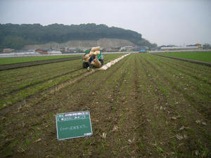 R0037633.jpg