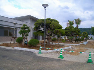 R0028840.jpg