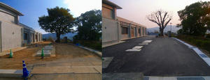PRI_20121113074909.jpg