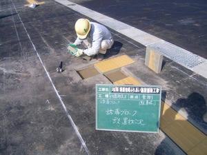 R0029313.jpg