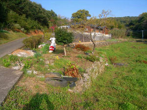 20130415kuro.jpg