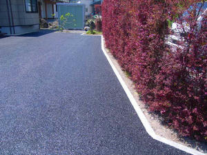 R0034255.jpg