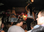 coyote ugly