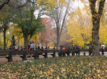central park
