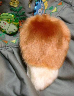 091206sippo.jpg
