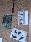091025_1018~0001.jpg
