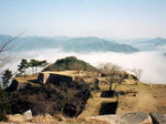 takeda01.jpg
