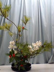 091228_1706~0001.jpg