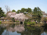 IMG_0851.gif