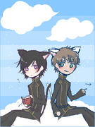 くろねこしろねこなかよしこよし♪