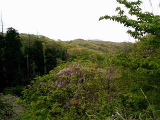 yama01
