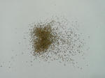 seed.JPG