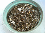 small1.JPG