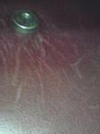 090222_2121~01.jpg