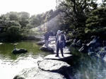 清澄庭園2
