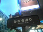 銀座の子猫