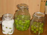 ume2.jpg
