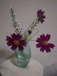 DSC05068.JPG