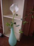 DSC05361.JPG
