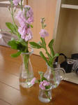 DSC05443.JPG