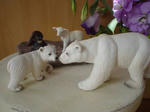 DSC05494.JPG