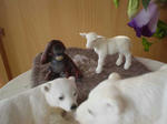 DSC05496.JPG