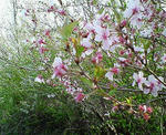 200904111543001.jpg