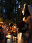 P50785851.jpg