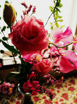 P1220039-2.jpg