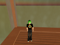 secondlife1