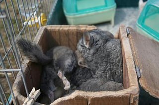 08.03.12-4.jpg