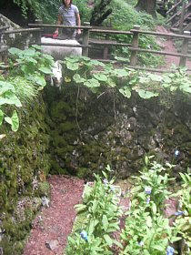 08.08.02-2.jpg