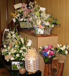 09.02.11-3.jpg