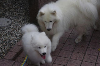 2012.10.07-1.jpg