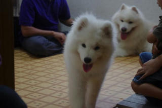 2012.10.07-3.jpg
