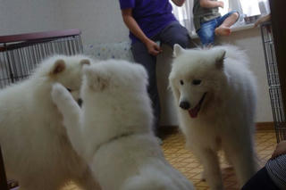 2012.10.07-4.jpg