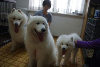 2012.10.07-5.jpg