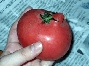 d200707-0029.gif