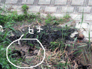 d200707-0055.gif