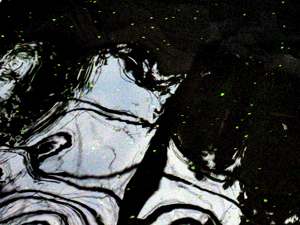 d200707-0060.gif