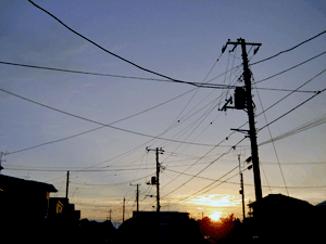d200708-0022.gif