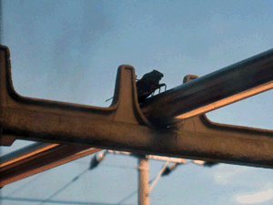 d200708-0023.gif