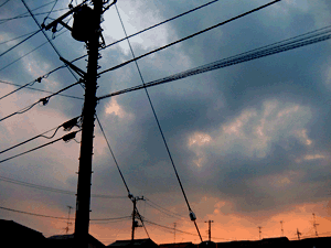 d200708-0036.gif