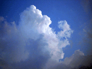 d200708-0038.gif