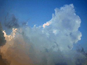 d200708-0039.gif