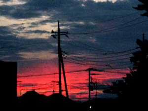 d200708-0050.gif
