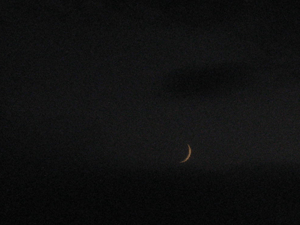 d200708-0051.gif