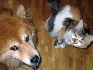 d200708-0079.gif