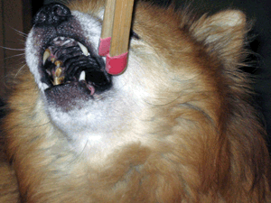 d200708-0081.gif