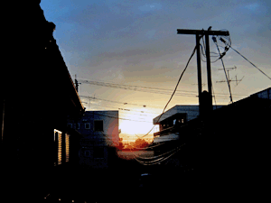 d200709-0012.gif